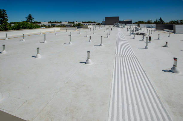 Best Rubber Roofing (EPDM, TPO)  in Coldstream, KY